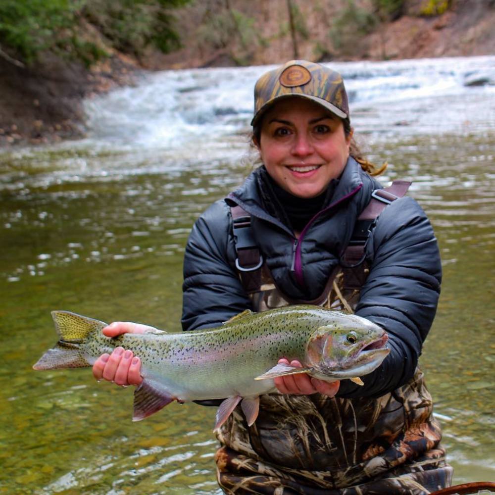 Meet your Posher, Aline